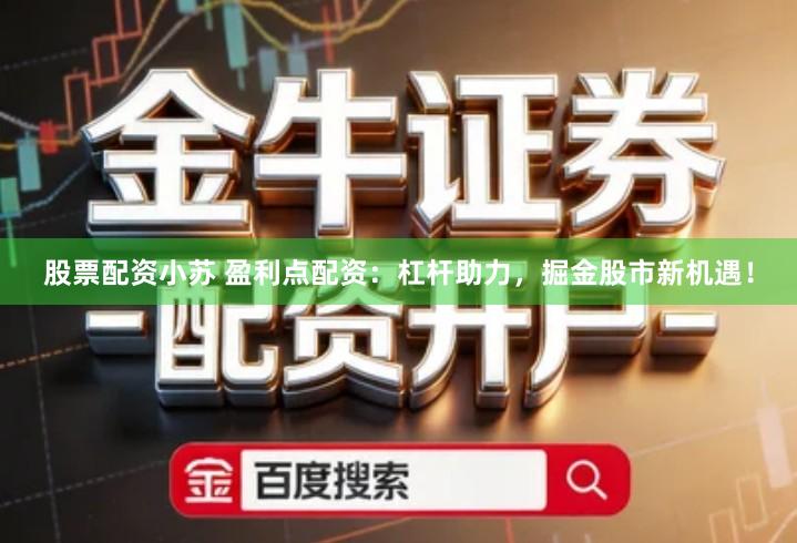股票配资小苏 盈利点配资：杠杆助力，掘金股市新机遇！